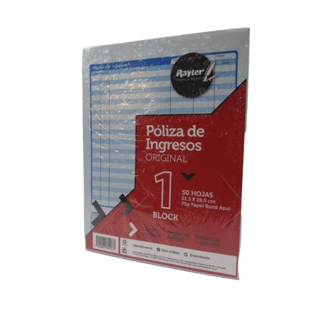 POLIZA DE INGRESOS RAYTER