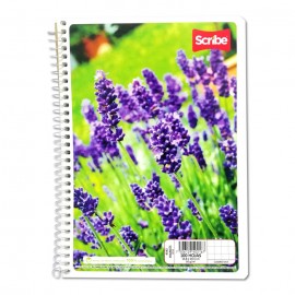 CUADERNO FRANCESA ESPIRAL SCRIBE MEGA CUADRO CHICO 100 HOJAS