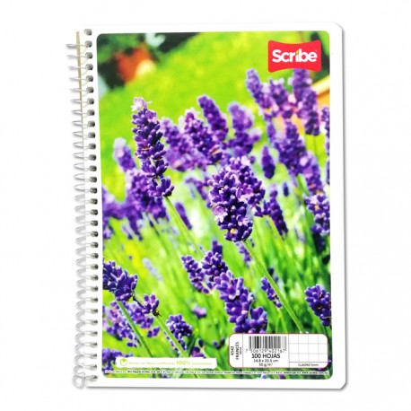 CUADERNO FRANCESA ESPIRAL SCRIBE MEGA CUADRO CHICO 100 HOJAS